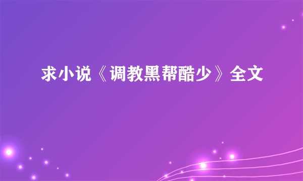 求小说《调教黑帮酷少》全文