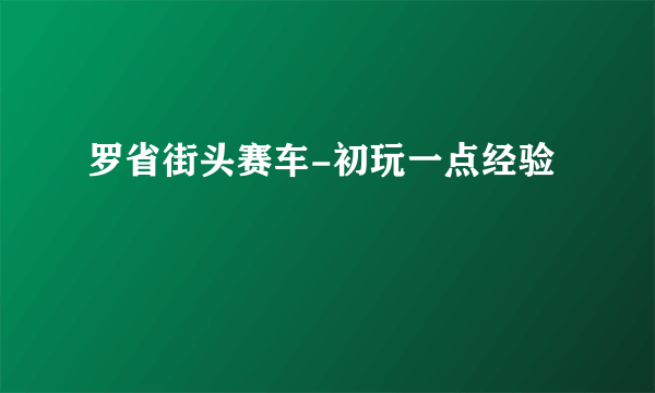 罗省街头赛车-初玩一点经验