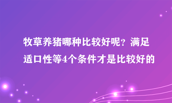 牧草养猪哪种比较好呢？满足适口性等4个条件才是比较好的