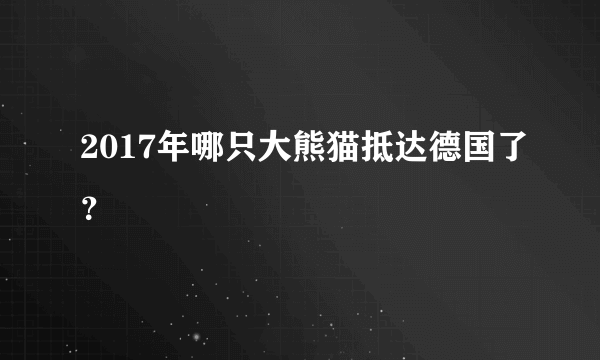 2017年哪只大熊猫抵达德国了？