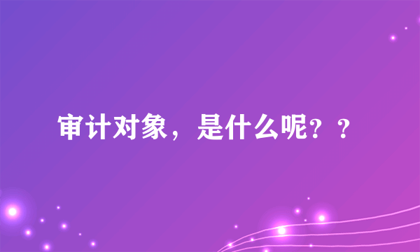 审计对象，是什么呢？？