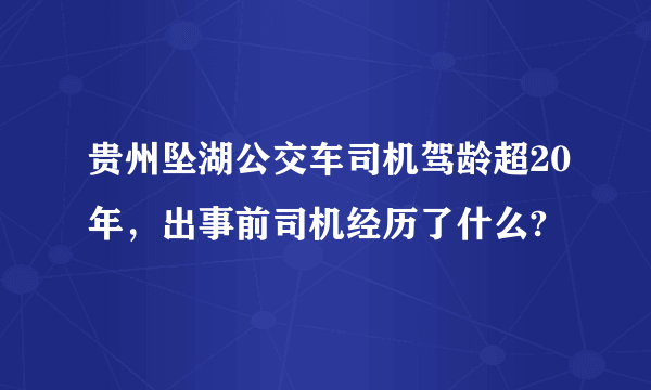 贵州坠湖公交车司机驾龄超20年，出事前司机经历了什么?