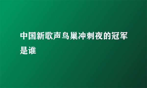 中国新歌声鸟巢冲刺夜的冠军是谁