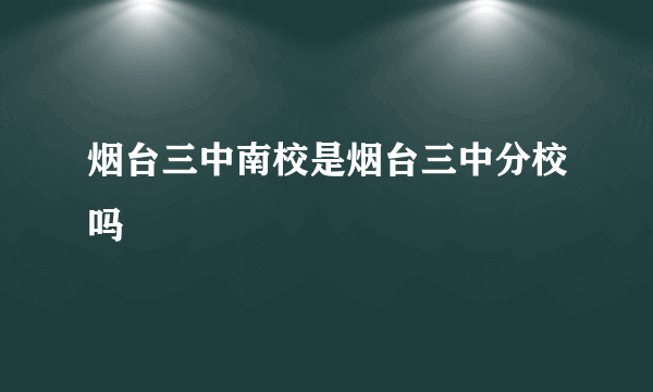 烟台三中南校是烟台三中分校吗