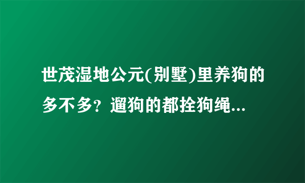 世茂湿地公元(别墅)里养狗的多不多？遛狗的都拴狗绳吗？有流浪宠物吗？