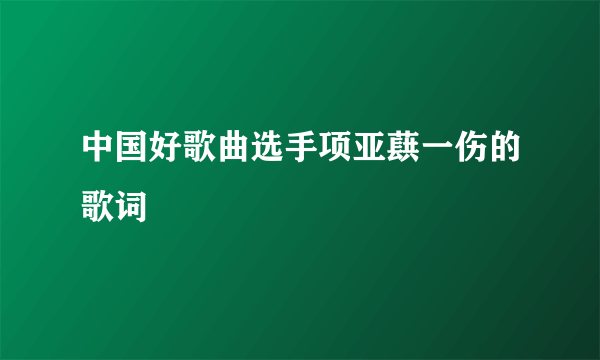 中国好歌曲选手项亚蕻一伤的歌词