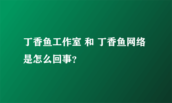 丁香鱼工作室 和 丁香鱼网络 是怎么回事？