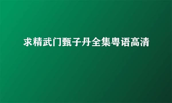 求精武门甄子丹全集粤语高清