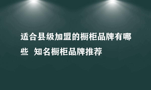 适合县级加盟的橱柜品牌有哪些  知名橱柜品牌推荐