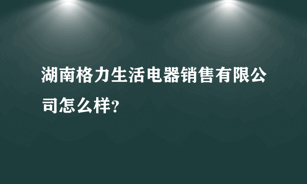 湖南格力生活电器销售有限公司怎么样？