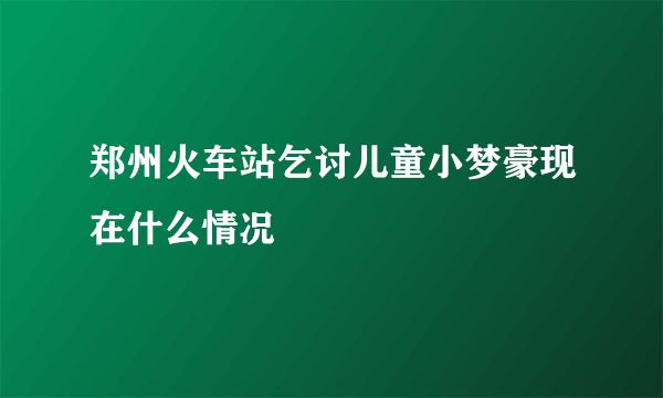 郑州火车站乞讨儿童小梦豪现在什么情况