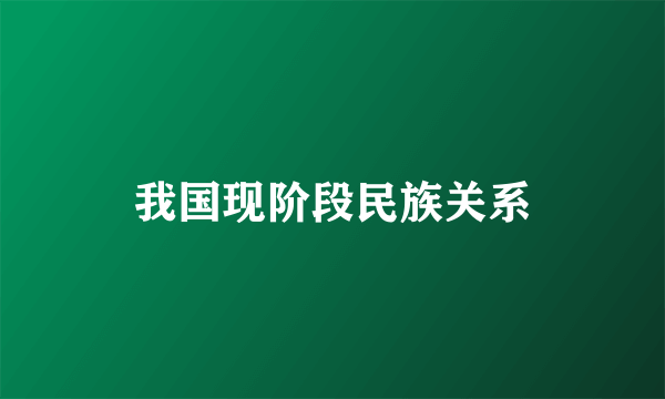 我国现阶段民族关系