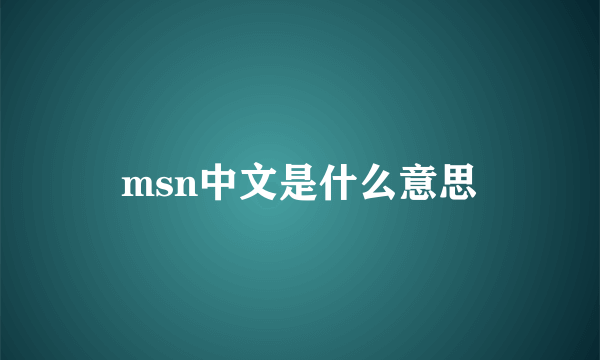 msn中文是什么意思