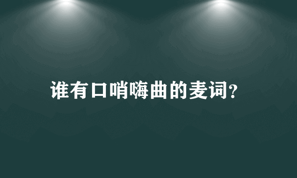 谁有口哨嗨曲的麦词？