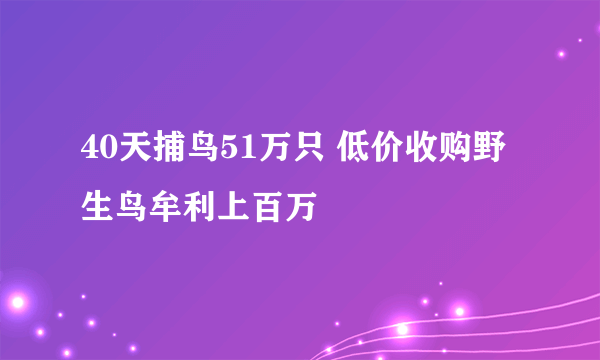 40天捕鸟51万只 低价收购野生鸟牟利上百万