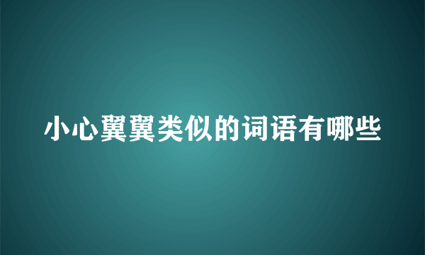 小心翼翼类似的词语有哪些