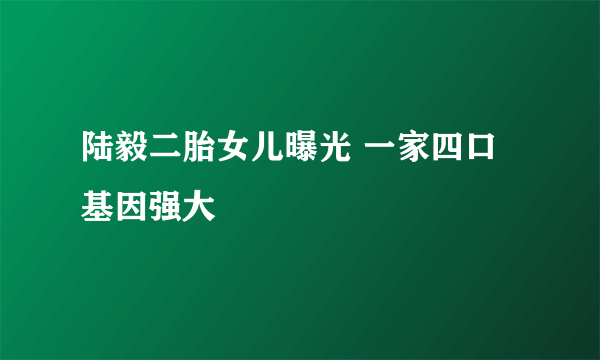 陆毅二胎女儿曝光 一家四口基因强大