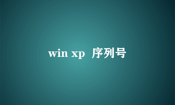 win xp  序列号