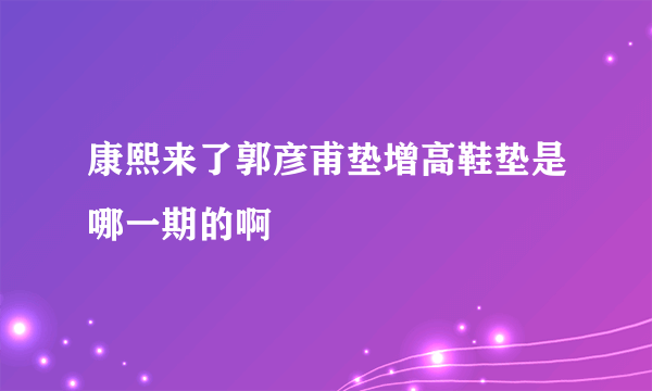 康熙来了郭彦甫垫增高鞋垫是哪一期的啊