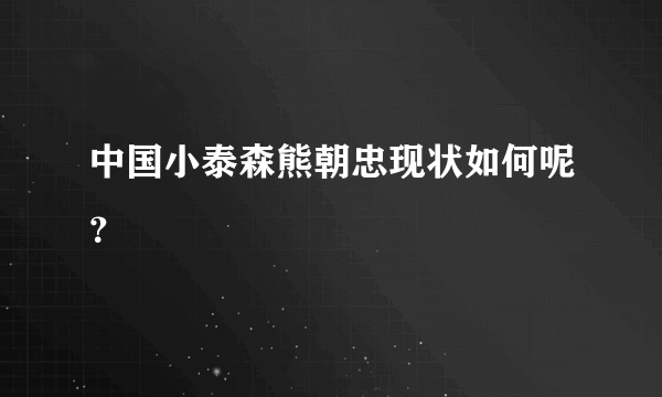 中国小泰森熊朝忠现状如何呢？