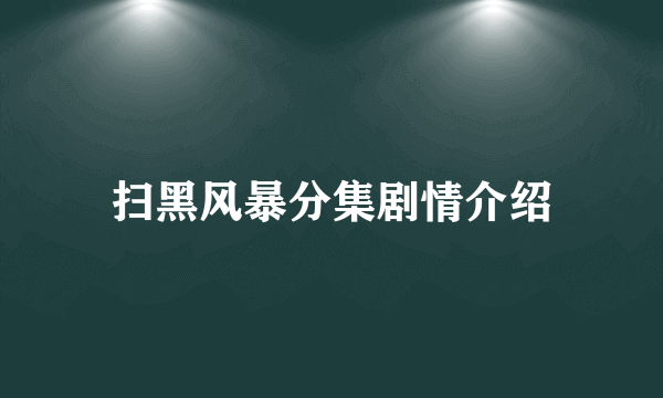 扫黑风暴分集剧情介绍