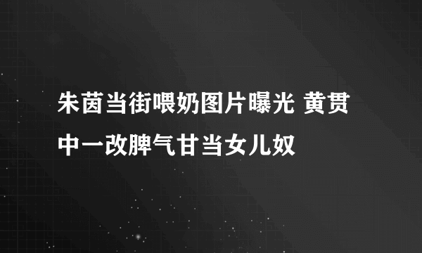 朱茵当街喂奶图片曝光 黄贯中一改脾气甘当女儿奴