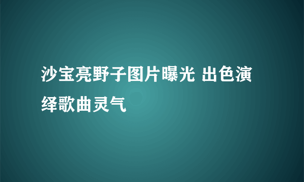 沙宝亮野子图片曝光 出色演绎歌曲灵气