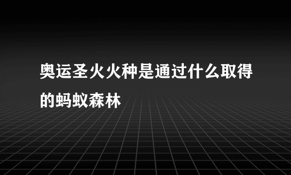 奥运圣火火种是通过什么取得的蚂蚁森林