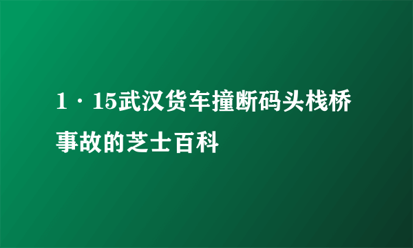 1·15武汉货车撞断码头栈桥事故的芝士百科