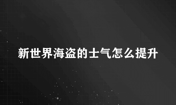 新世界海盗的士气怎么提升