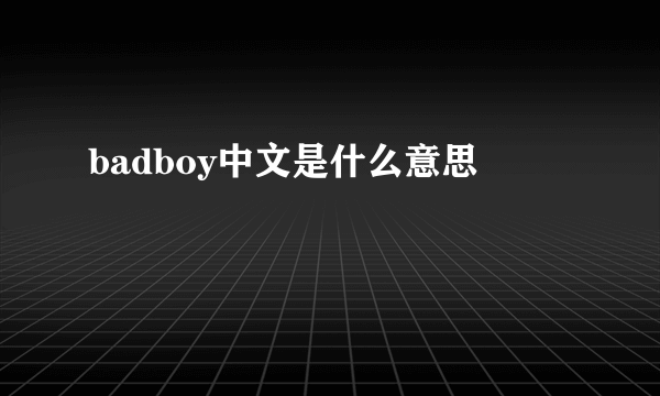 badboy中文是什么意思