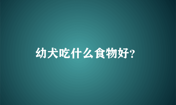 幼犬吃什么食物好？