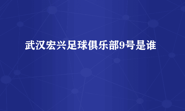 武汉宏兴足球俱乐部9号是谁