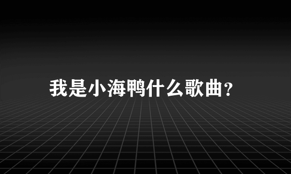 我是小海鸭什么歌曲？