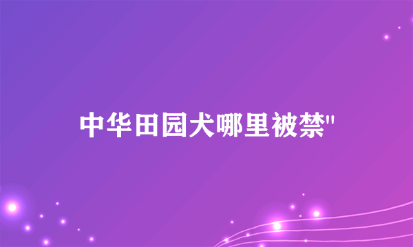 中华田园犬哪里被禁