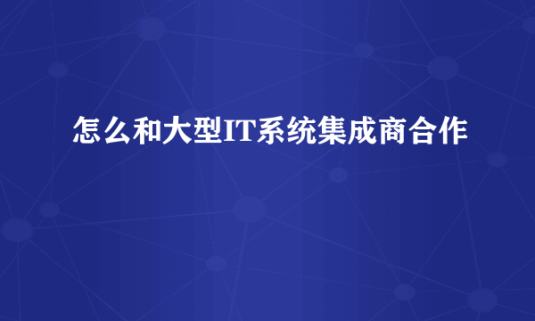 怎么和大型IT系统集成商合作