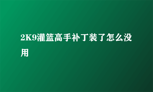 2K9灌篮高手补丁装了怎么没用