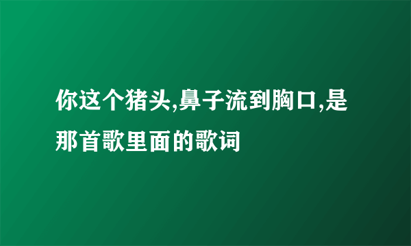 你这个猪头,鼻子流到胸口,是那首歌里面的歌词