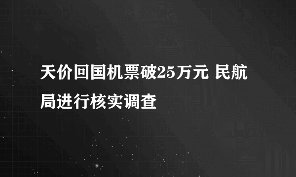 天价回国机票破25万元 民航局进行核实调查