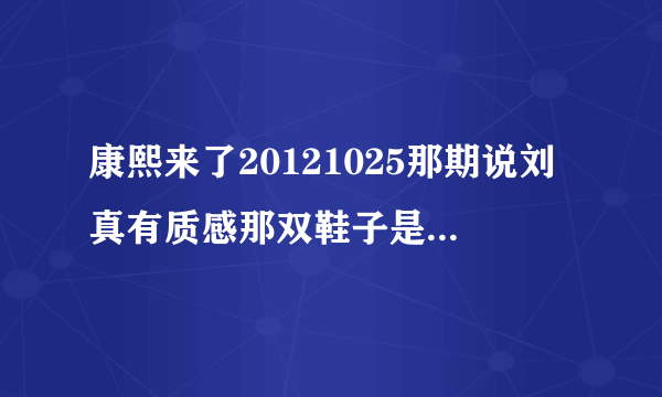 康熙来了20121025那期说刘真有质感那双鞋子是什么牌子