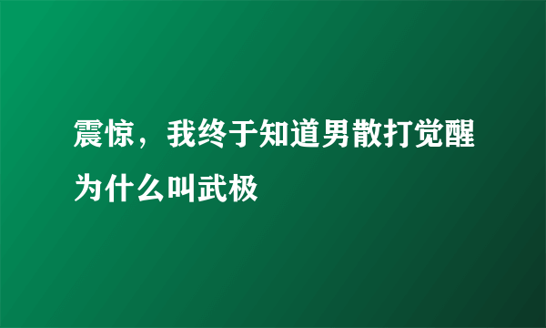 震惊，我终于知道男散打觉醒为什么叫武极